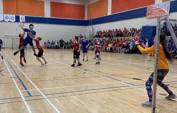 Um ihren Sport weiterzuentwickeln, nehmen Handballfans in Acadia die Dinge selbst in die Hand