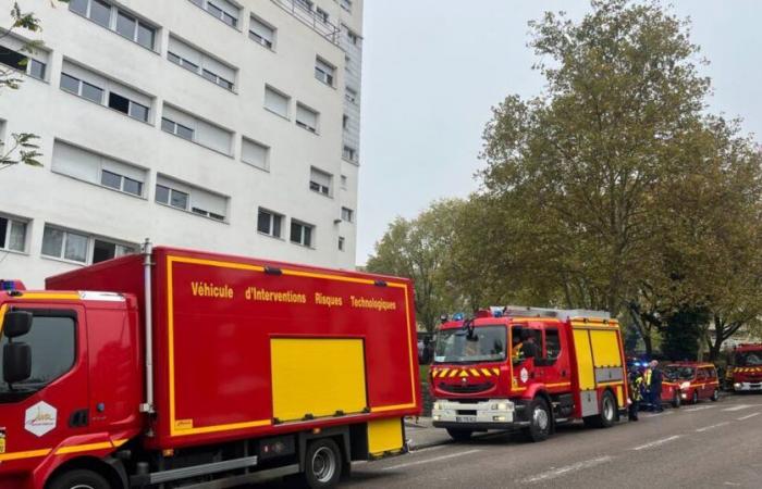 Habe geschworen. Ein starker Gasgeruch breitet sich in einer ganzen Straße aus: 17 Feuerwehrleute greifen ein