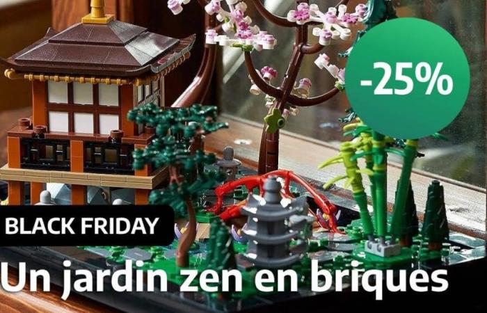 Black Friday senkt den Preis von LEGO The Peaceful Garden, einem der besten Sets für Erwachsene zu Weihnachten, um 25 %