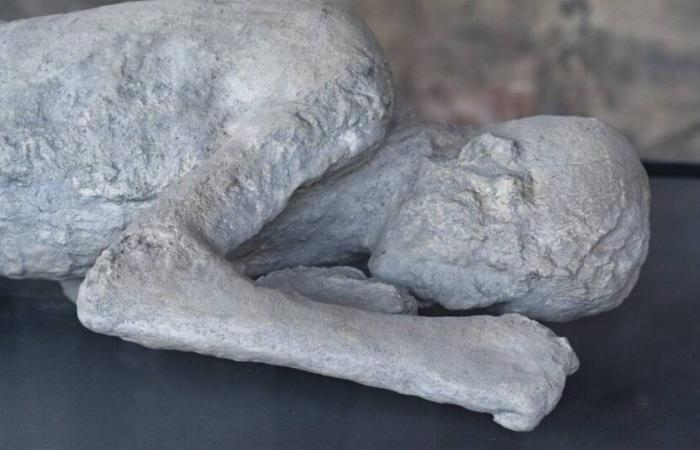 Wissenschaftler enthüllen die wahre Geschichte der in der Asche erstarrten Opfer von Pompeji – Befreiung