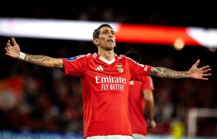 Benfica und Di María schenken den FC Porto – Liga Portugal – J11 – Benfica-Porto (4-1)