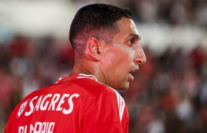 Angel Di Maria leitet Benfica gegen Porto