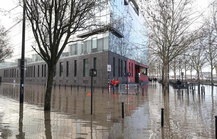 Könnte ein solches Phänomen eines Tages in Bordeaux auftreten?