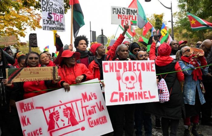 Tausende Demonstranten in Paris prangern die hohen Lebenshaltungskosten im Ausland an