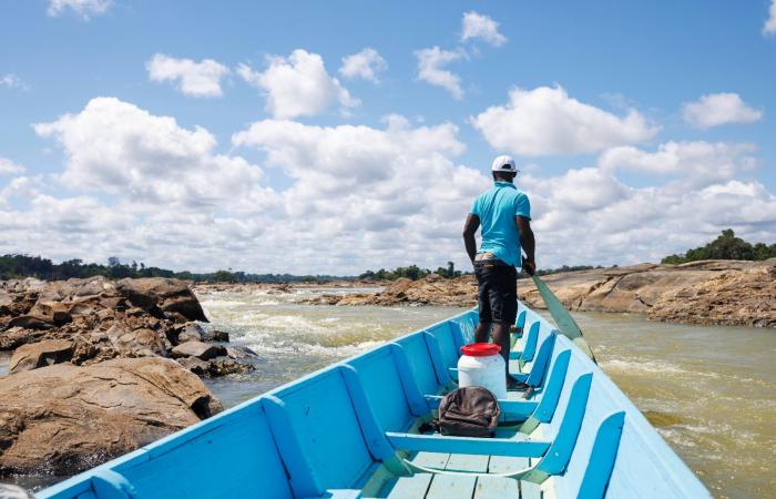 In Guyana stört eine außergewöhnliche Dürre das tägliche Leben auf den Flüssen