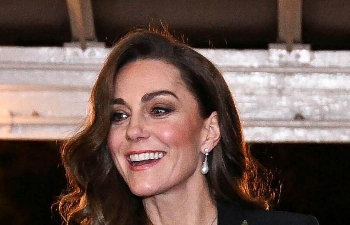 Prinz William und Kate, zärtlicher Auftritt beim Festival of Remembrance