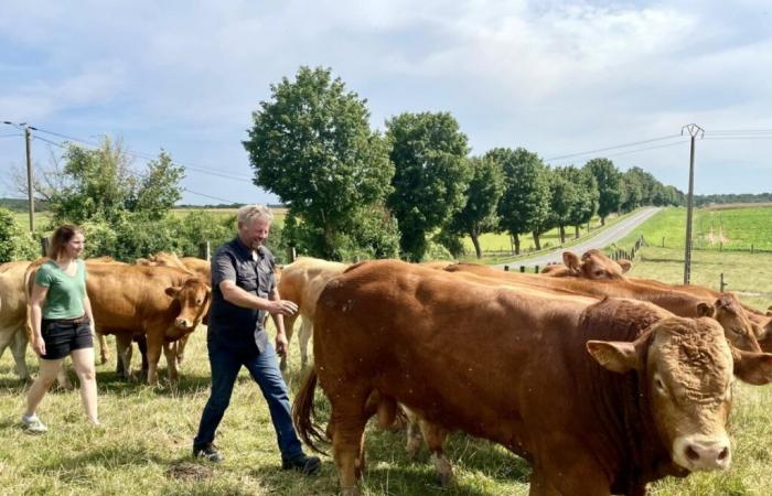 Die Ferme de l’Arche, eine der letzten Rinderfarmen im Val-d’Oise