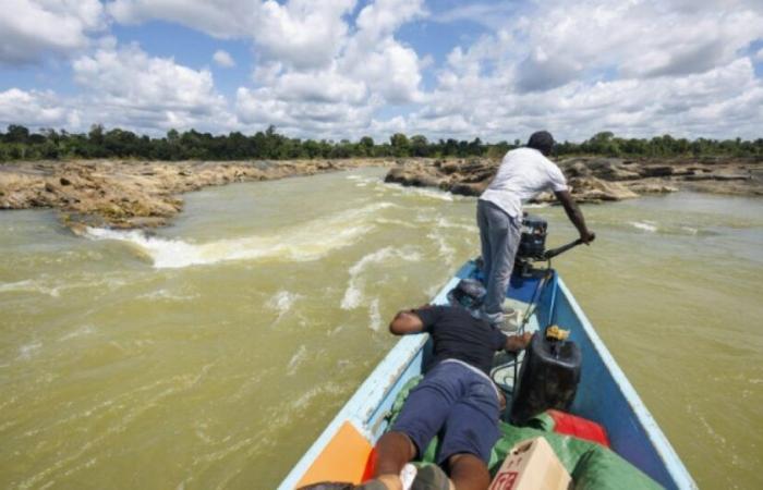 In Guyana stört eine außergewöhnliche Dürre das tägliche Leben auf den Flüssen: Nachrichten