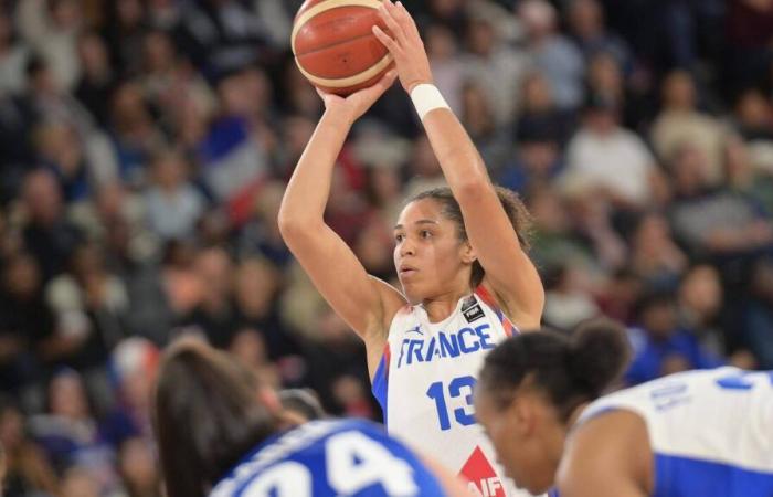 DIREKT. Lettland – Frankreich: Verfolgen Sie das Qualifikationsspiel zur Euro 2025 für Les Bleues du Basketball