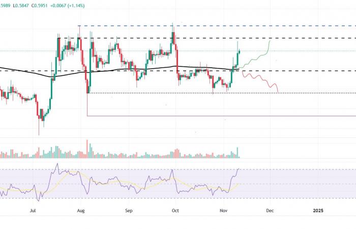 BTC erreicht ein neues Allzeithoch bei 81.800 $