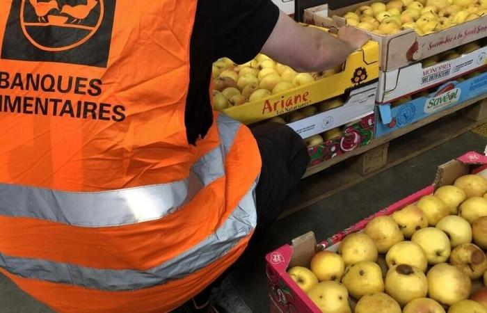 Die Morbihan Food Bank zeigt an diesem Dienstag den Alltag ihrer Freiwilligen