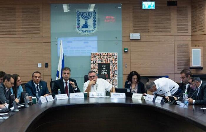 Likud-Abgeordneter weist Tante der Geisel von Knesset-Sitzung aus