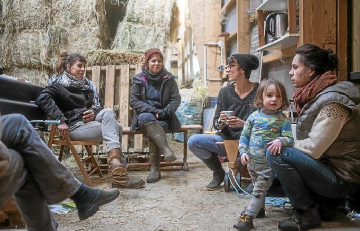 Larzac, erhaben in der Linse von Philémon d’Andurain