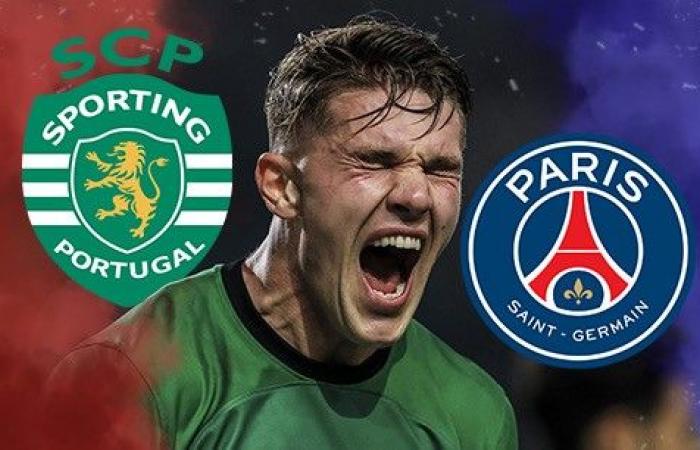 Mercato PSG: Sporting Portugal öffnet die Tür für Viktor Gyökeres! – Überweisungen