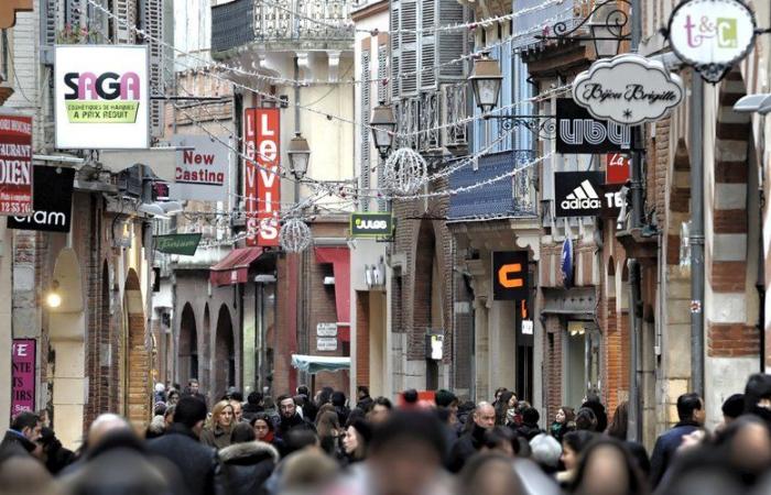 Geschäfte, Schwimmbäder, Verwaltung: Was ist an diesem Montag, dem 11. November, in Toulouse geöffnet?