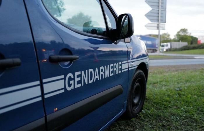 Ein Zeugenaufruf der Gendarmerie Moselle nach dem besorgniserregenden Verschwinden einer 74-jährigen Frau