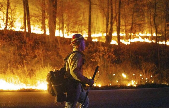 Feuer in den Bundesstaaten New Jersey und New York… Mehr als 1.200 Hektar bereits zerstört und ein Toter