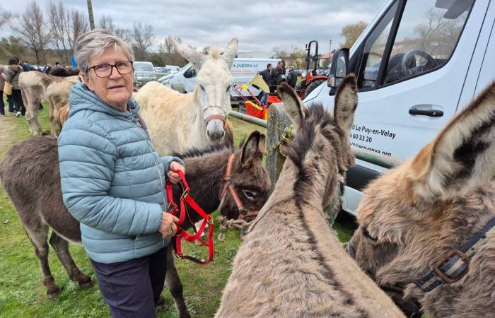 Mehr als 500 Stände und Tausende von Besuchern für diese Haute-Loire-Messe