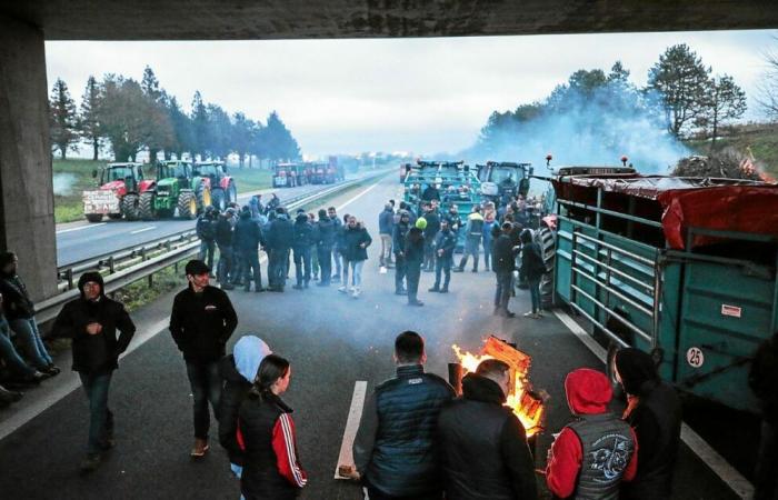 Wut der Landwirte: Müssen wir in Ille-et-Vilaine mit neuen Blockaden rechnen?