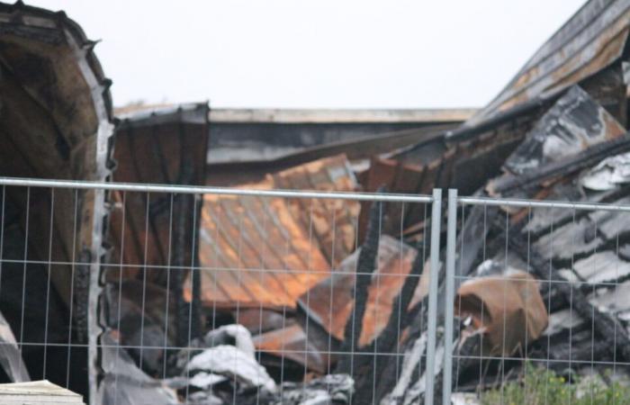 Nach dem Brand in ihrer Werkstatt versucht Christine Sauzeau mit Hilfe von Kollegen, sich wieder aufzubauen