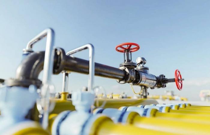 Algerien beendet die systematische Subventionierung der Gaspreise für Industrielle