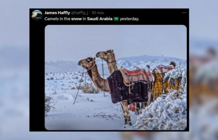 die schönsten Bilder des vom Schnee betroffenen Landes