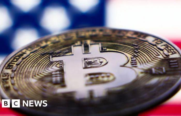 Bitcoin erreicht den Rekordwert von 80.000 US-Dollar, während Trump kurz vor dem Sieg im US-Kongress steht