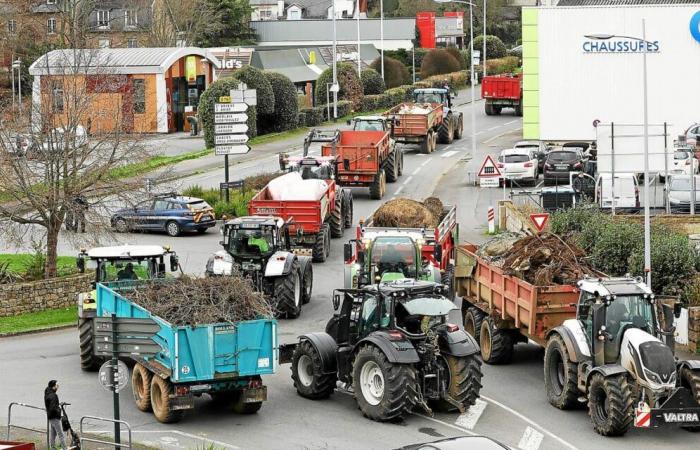 „Wir werden nicht in der Lage sein, Leute festzuhalten“: Eine Mobilisierung von Bauern wurde in Côtes-d’Armor angekündigt