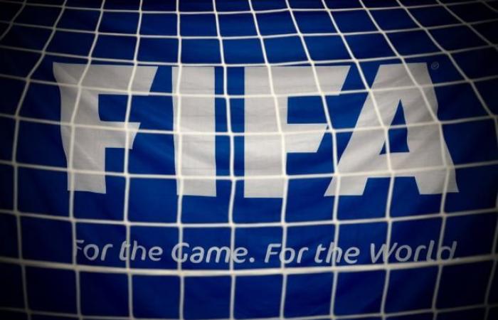 Amnesty International fordert die FIFA auf, den Vergabeprozess für die Weltmeisterschaft 2034 zu „unterbrechen“ (Fußball)