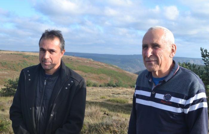 Im größten Photovoltaikpark Okzitaniens, der in Lozère errichtet wird, können Schafe grasen