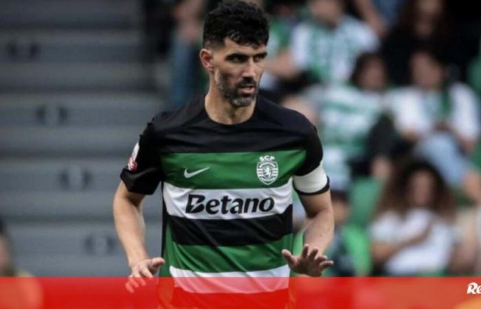 Luís Neto im technischen Komitee von João Pereira bestätigt – Sporting