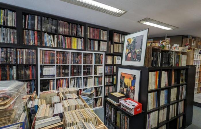 Er eröffnet einen Buchladen, um seine außergewöhnliche Sammlung von 26.000 Comics, Mangas und Comics zu verkaufen