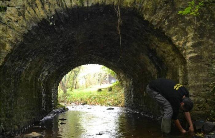 Warum möchte der Fischereiverband Maine-et-Loire die Temperatur der Flüsse überwachen?