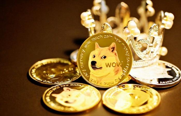 Viel Wow! Dogecoin ist jetzt größer als Ford, Adidas, Lululemon, Roblox: 15 Unternehmen, die weniger wert sind als Meme Crypto