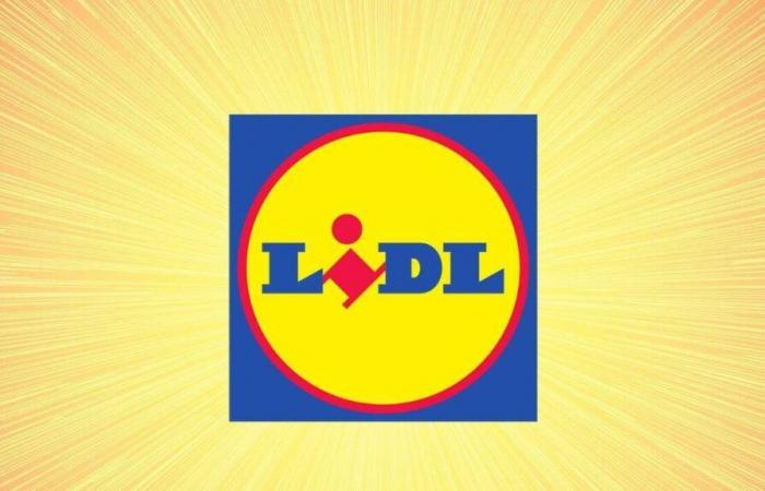 Ja, Lidl nimmt diesen Montag am Double 11 teil und es ist schon der Wahnsinn