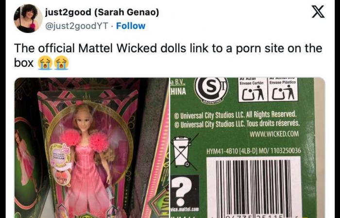 Mattel entschuldigt sich, nachdem er versehentlich eine Pornoseite auf der Verpackung seiner neuen „Wicked“-Puppe beworben hat