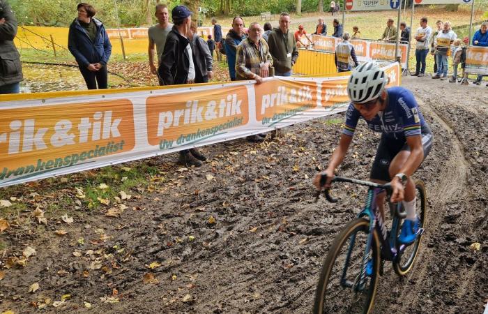 Vorschau Superprestige Annual Market Cross Niel 2024 | Nys und Ronhaar schicken ihre Katze, aber keine Sorge