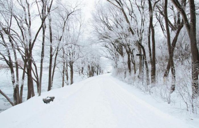 Der Schnee kehrt mit der Ankunft eines kalten Tropfens in Frankreich diese Woche zurück