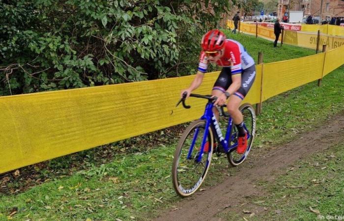 Vorschau Superprestige Annual Market Cross Niel 2024 | Nys und Ronhaar schicken ihre Katze, aber keine Sorge