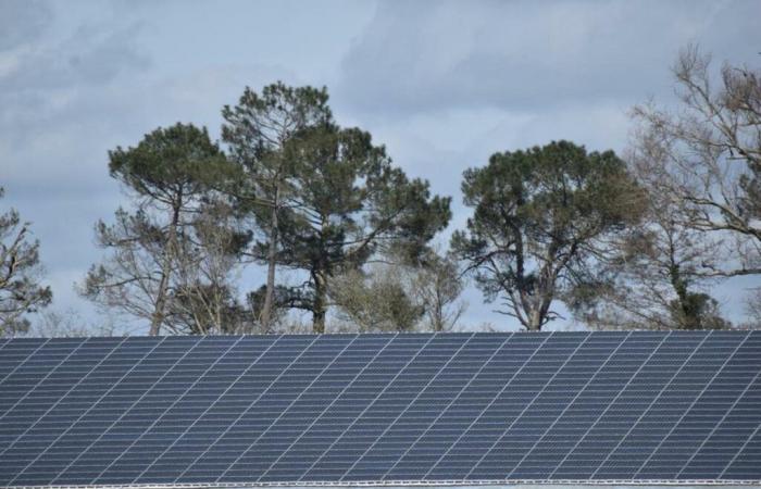 Photovoltaik auf der Speisekarte des Gemeinderates