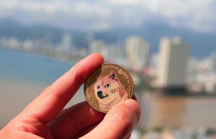 Die Meme-Münzen Dogecoin, Shiba Inu und Dogwifhat mit Hundemotiven weiten ihre Gewinne aus, während die von Trump angeführte Rallye anhält