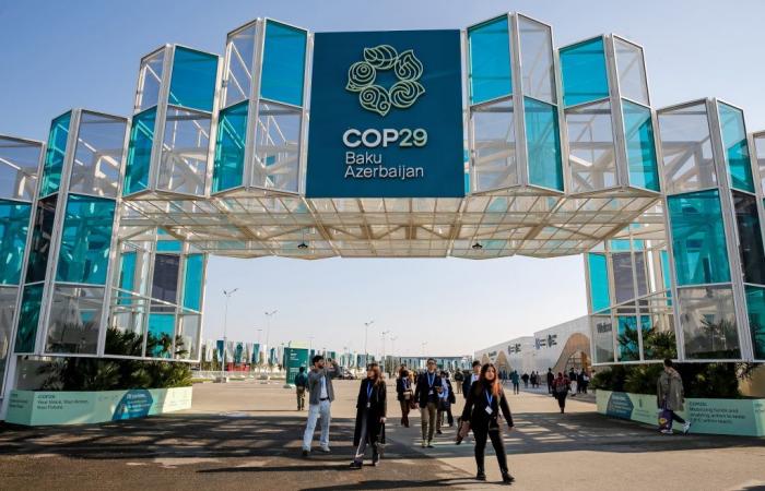 Die US-Wahl verdunkelt den Beginn der COP29 in Aserbaidschan