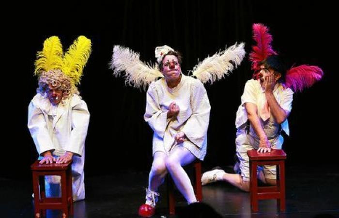 Clownfestival, Wohnungsmesse, Yann Queffélec … Was Sie diese Woche in der Region Vannes und Auray erwartet