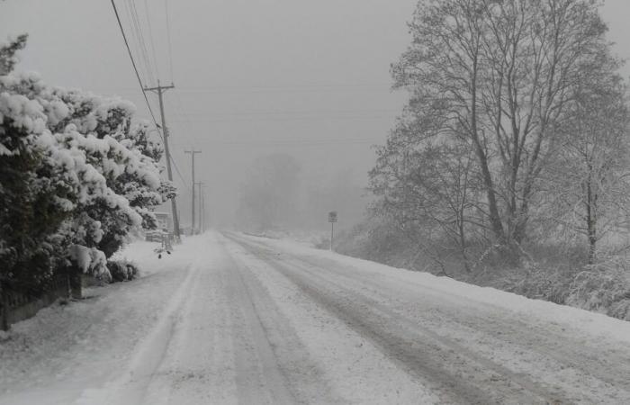 Diesen Dienstag schneit es auf den Hügeln, in der Lozère und in den Pyrenäen!