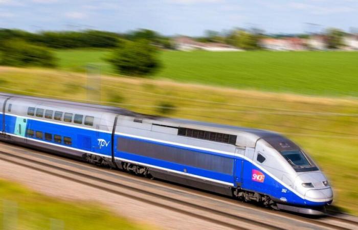 In Lyon wird das neue „Herz des Reaktors“ der TGV-Strecke Paris-Lyon errichtet