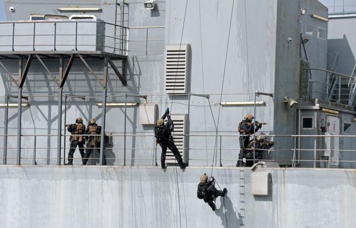 „Glaubst du, du warst diskret? Glaubst du, du warst im Schwimmbad?“, Eintauchen in das Herz der Marinekommandos im Training