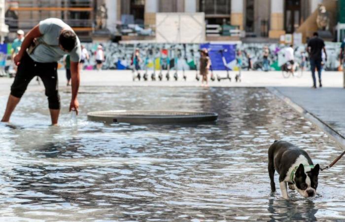 Klima: Zwei von drei Belgiern erkennen, dass sie ihre Lebensweise ändern müssen