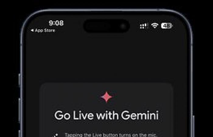 So verwenden Sie den AI Gemini Live Assistant von Google