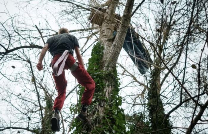 VIDEO. „Ich will sehen, ob sie bereit sind, Menschen zu töten“, droht ein „Eichhörnchen“ auf der LGV-Baustelle mit dem Erhängen