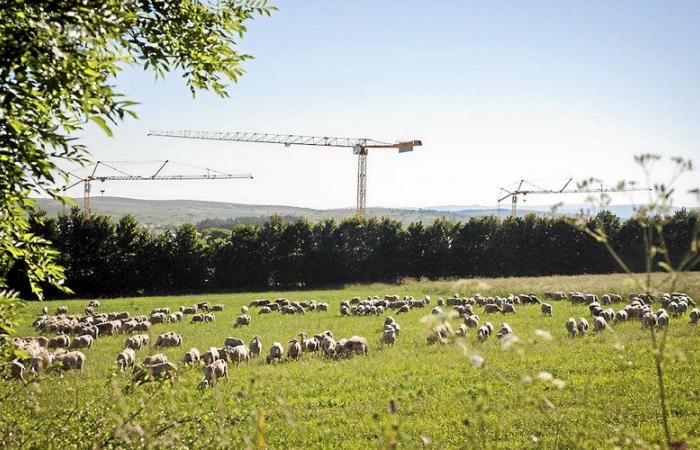 Larzac, erhaben in der Linse von Philémon d’Andurain